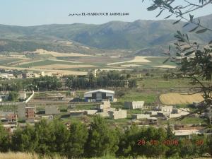 EL HARROUCH VILLE