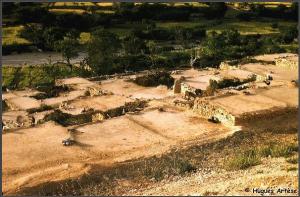 L'oasis de Djemorahn Biskra