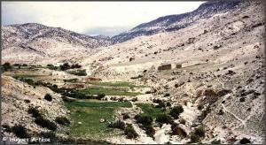 Dans la commune de Tkout, Batna