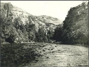 L'oued Abiod dans la palmeraie de Mchouneche