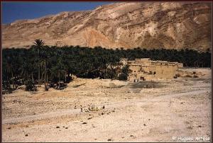 Vue sur Mchouneche, Biskra