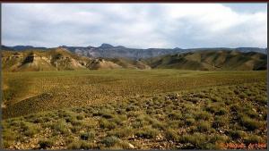 Les rives de l'Oued El Abiod, Biskra