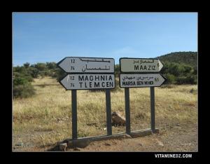 La Route de Maaziz venant de Maghnia en passant par chiguer