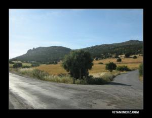 De Chiguer vers Maaziz à gauche, Nedroma à droite