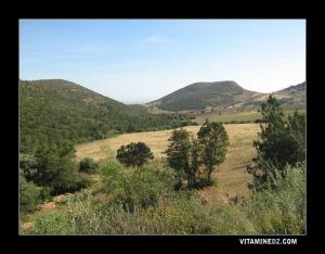 De Chiguer vers Maaziz nature luxuriante
