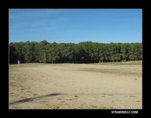 Foret de Sidi Mhamed El Ouassini