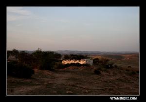 Sidi Slimane Sur la route communale Hennaya Amieur