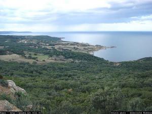 Le site naturel de Fkirina (la petite tortue), Annaba
