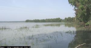 Le lac Oubeira, El Kala