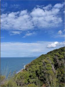 Paysage de la région de Gouraya, Tipaza