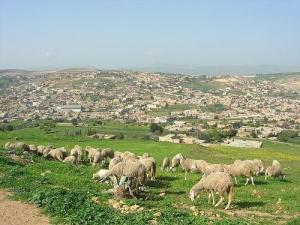 Vue sur la commune de Mazouna