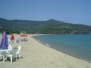 Sur la plage de Oued Bokrate, Annaba