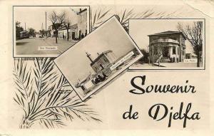 Souvenir djelfa
