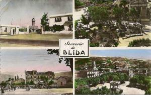 Souvenir blida 60
