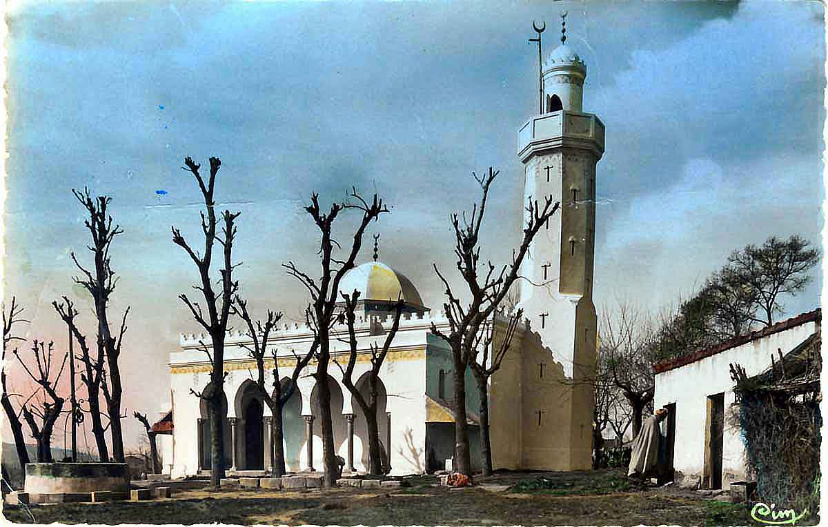 Tizi-Ouzou-la-nle-mosquee