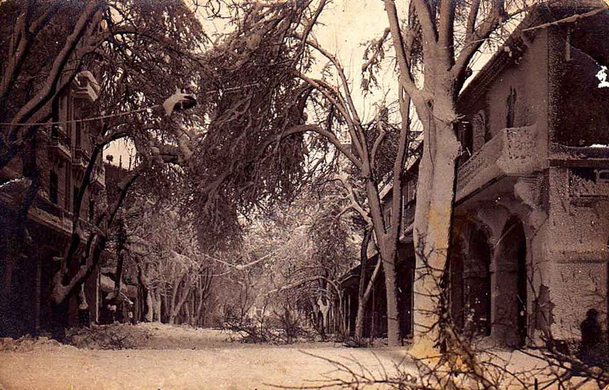 Neige setif 1913