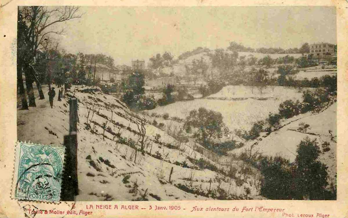 Neige 1905 alger