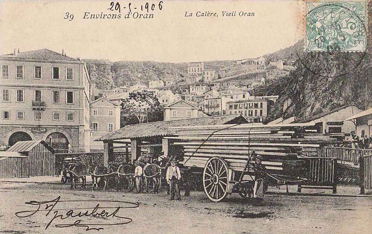 Oran 10 chevaux