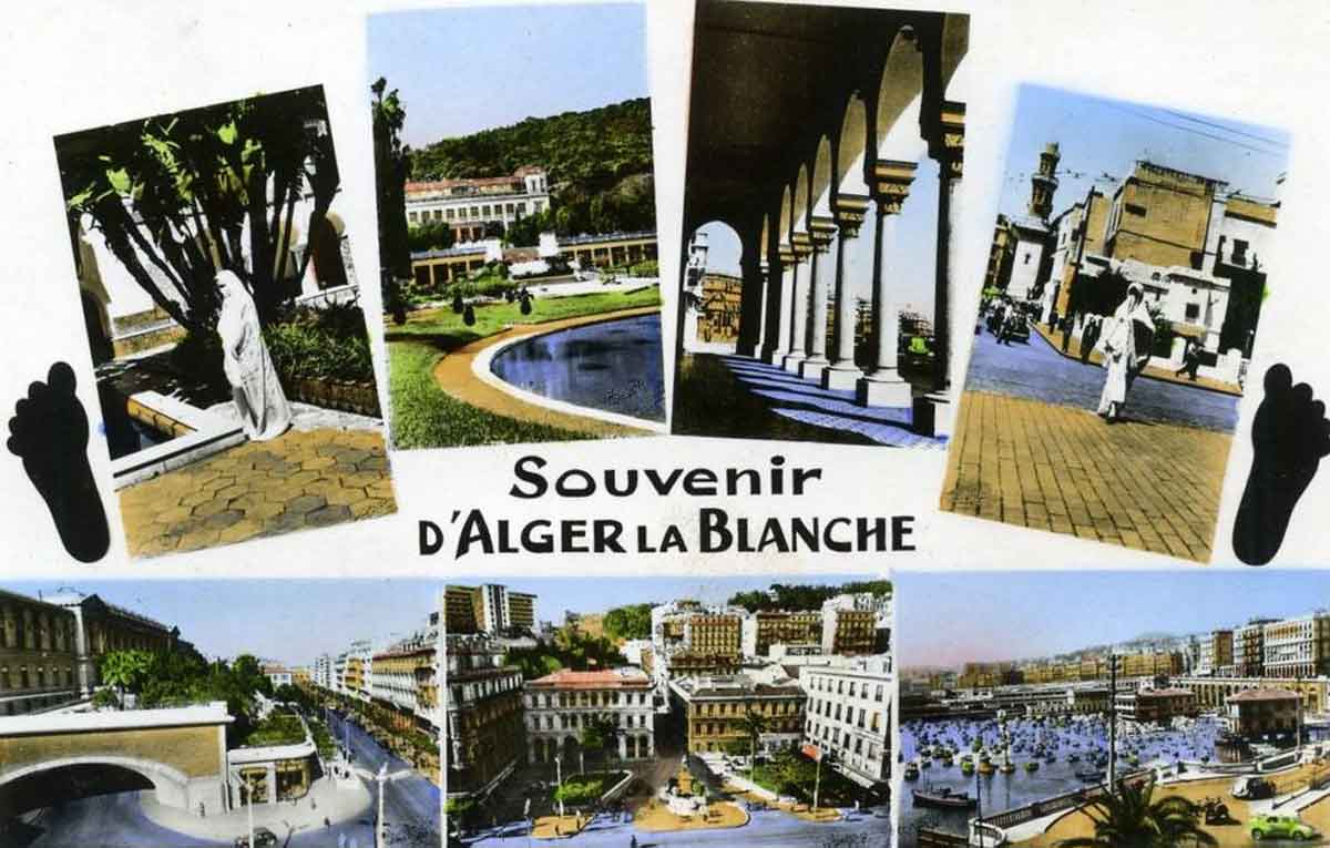 Souvenir alger blanche pied