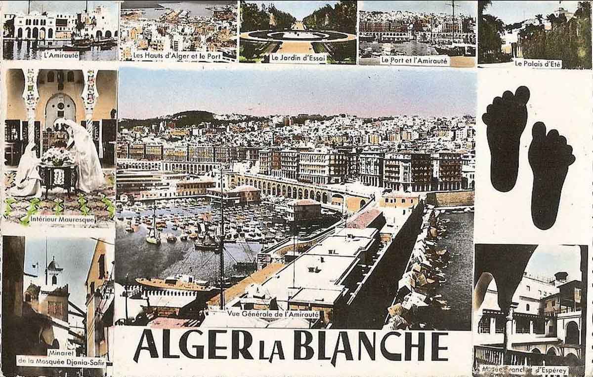 Alger blanc noir