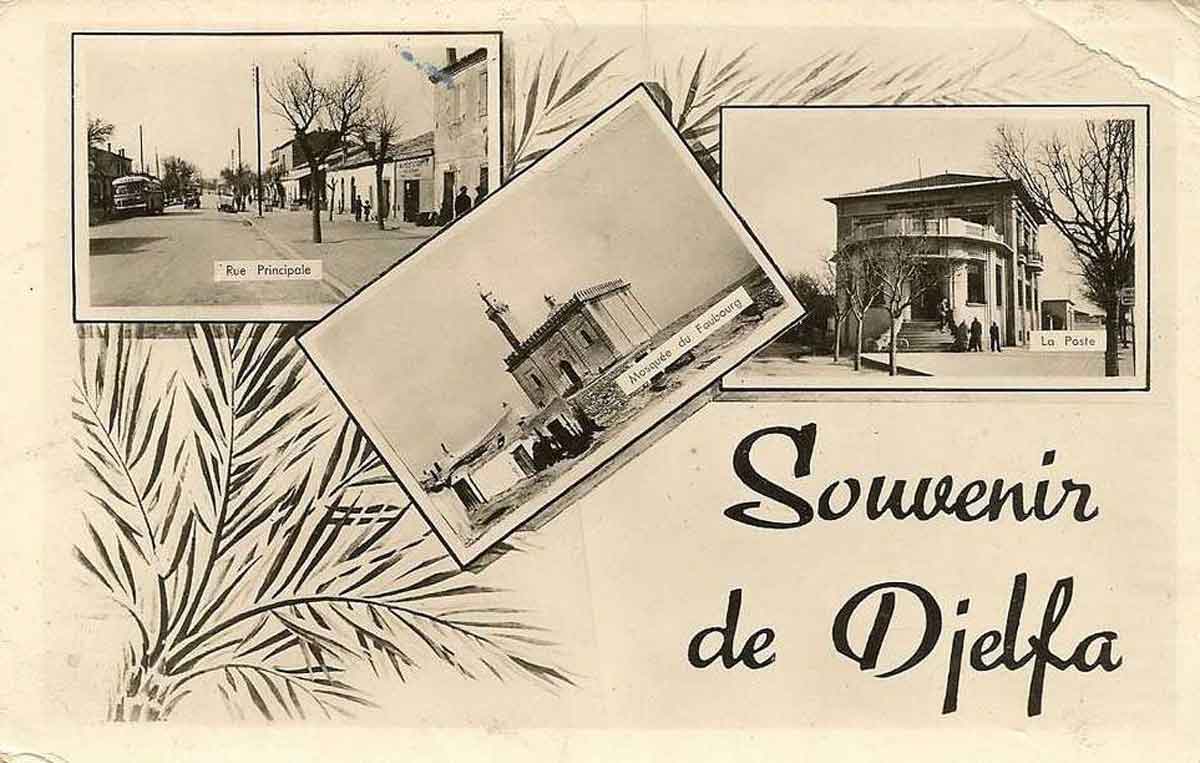 Souvenir djelfa