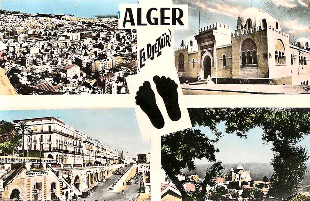 Alger dz pn
