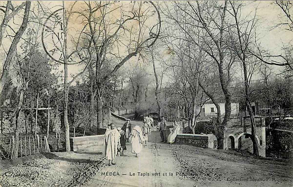 Medea tapis vert