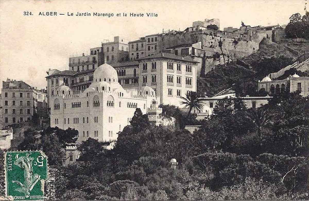 Alger marengo