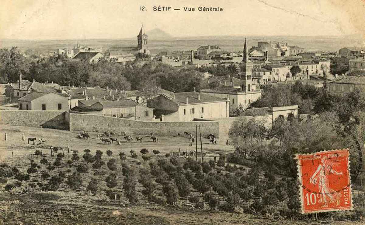 Setif gene 10c