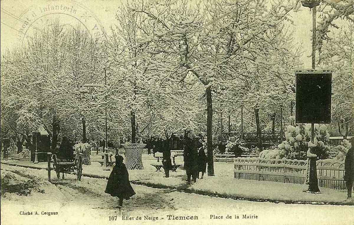 Tlemcen neige