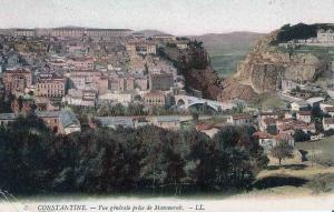 Constantine gene aqua