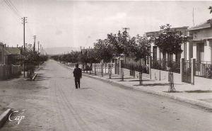 Setif cite levy gambetta