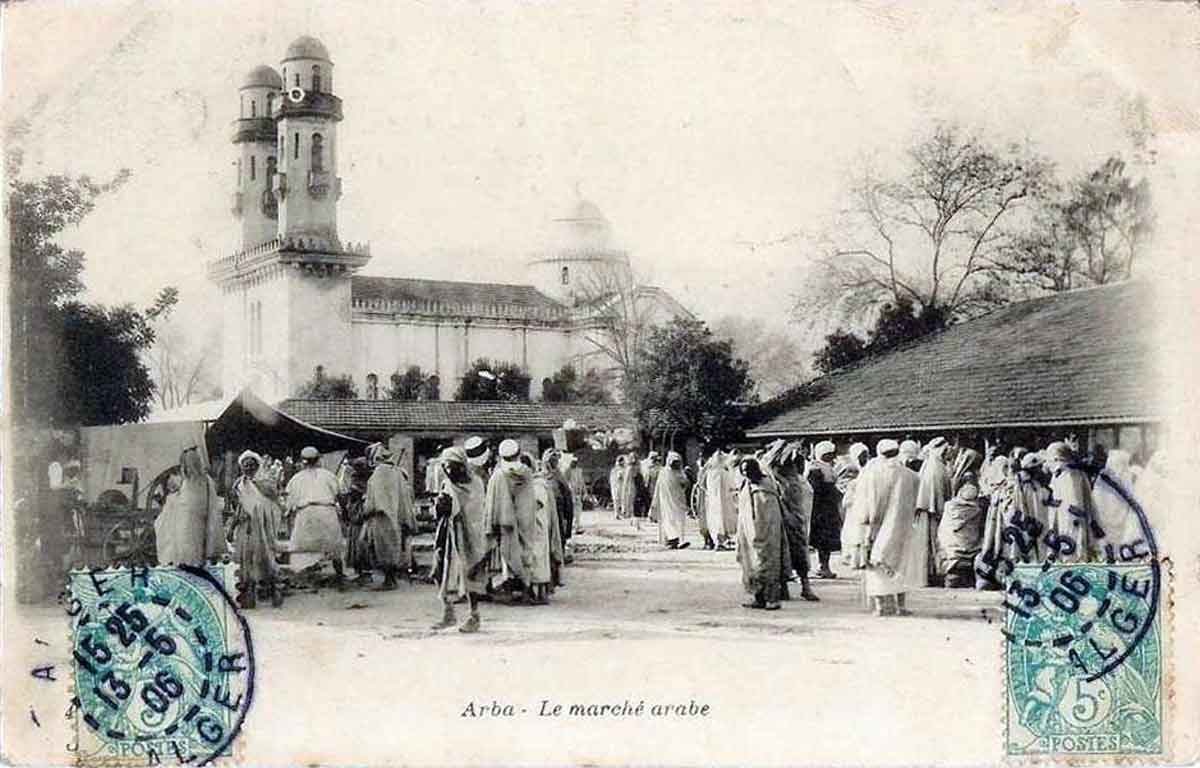 Alger marche djenina