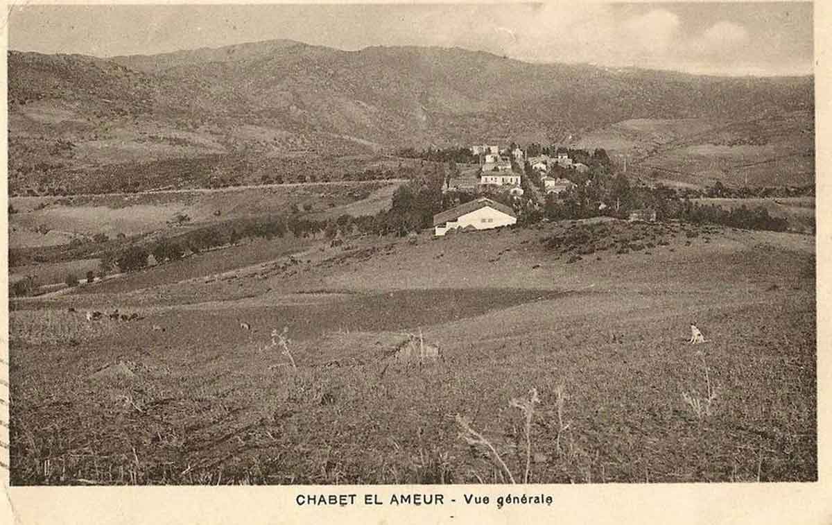 Bone chalutier col60