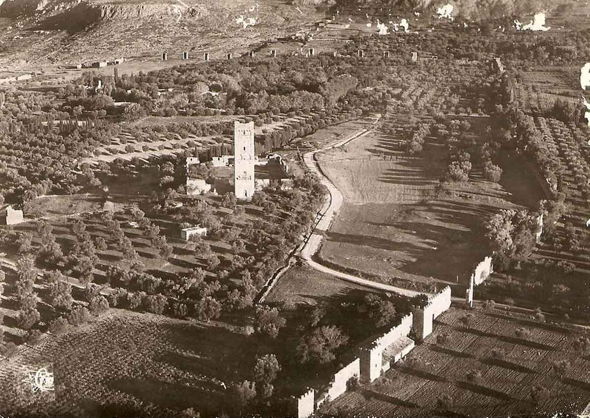 Avion tlemcen mansourah