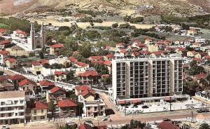 Bone mangin petrolacci