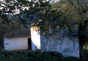 زاويةو ضريح    سيدي الصحراوي  وزرة - بروال  - المدية ouzera loverdo