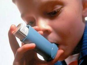 Forte pollution et nouveaux modes de vie: Plus de 4 millions d’Algériens touchés par les allergies