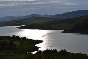 سد عين الدالية