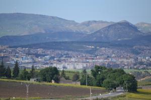 مدينة سوق أهراس