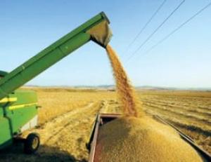 L'Algérie peut satisfaire ses besoins en céréales mais doit changer de modèle