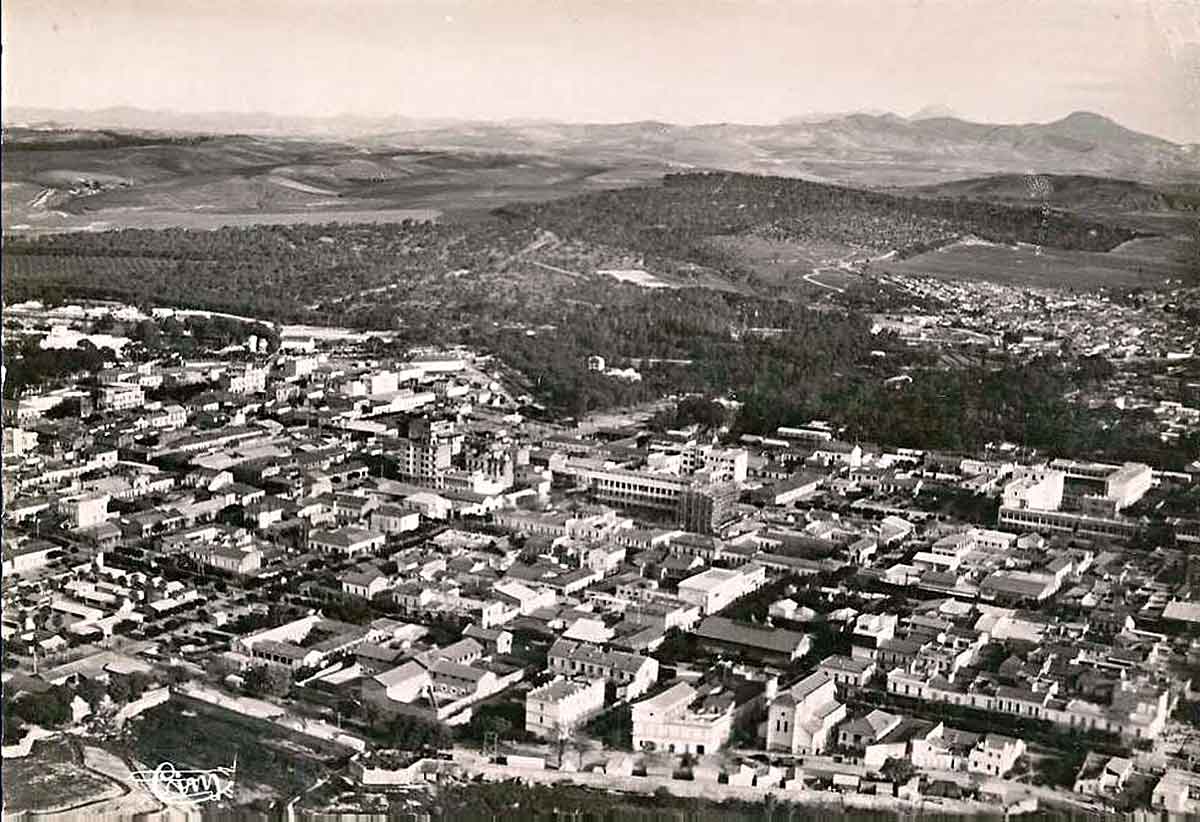 Avion orleansville 6