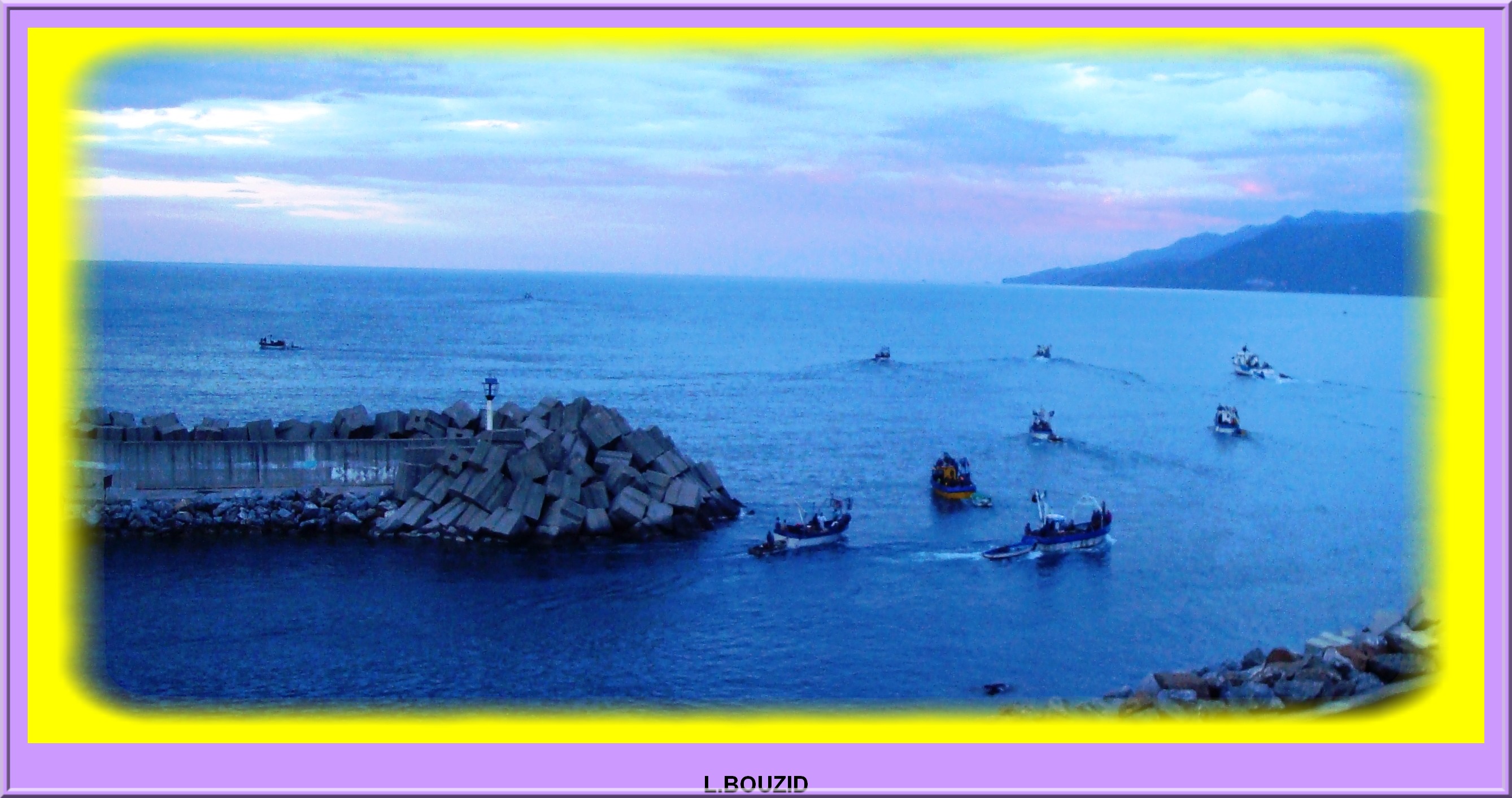 Sortie des sardiniers