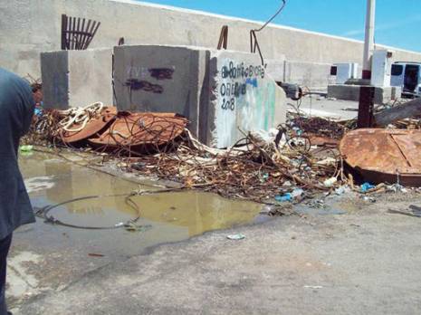 Ghazaouet -  Des écologistes se mobilisent pour la protection du milieu marin