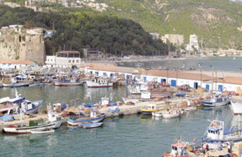 BEJAIA, ressources halieutiques: Des potentialités faiblement exploitées