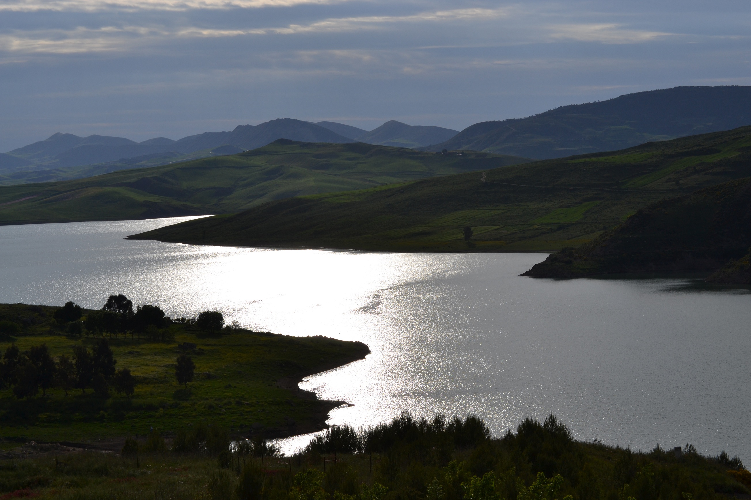 سد عين الدالية