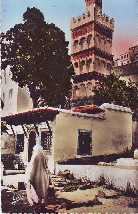 ALGER -- Mosquée Sidi Abderrahmane -- CPSM