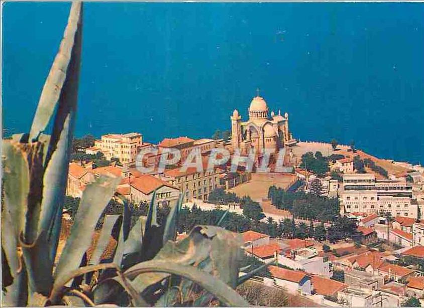 CPM Alger Vue sur N d d'Afrique