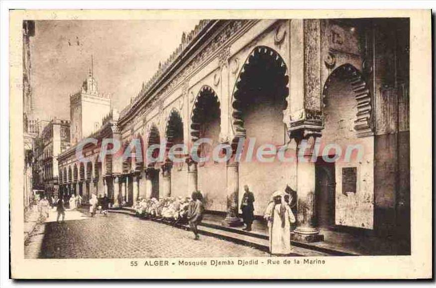 CPA Alger Mosquee Djamaa Djedid Rue De La Marine