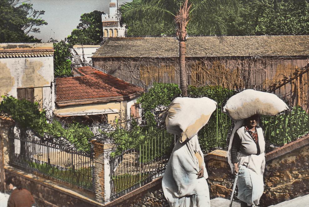 Afrique - Algérie - Alger = Rencontre prés de la Mosquée Sidi Abderrhamane